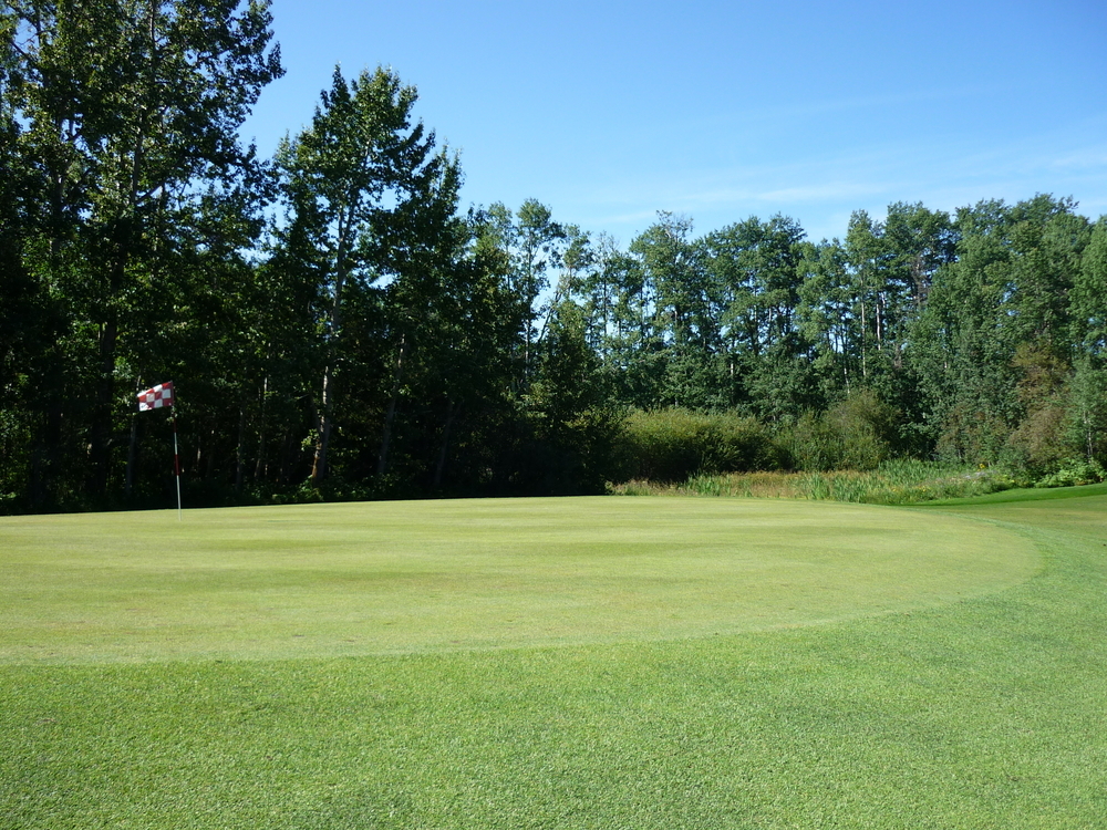 Miquelon Hills Golf Course Golf This